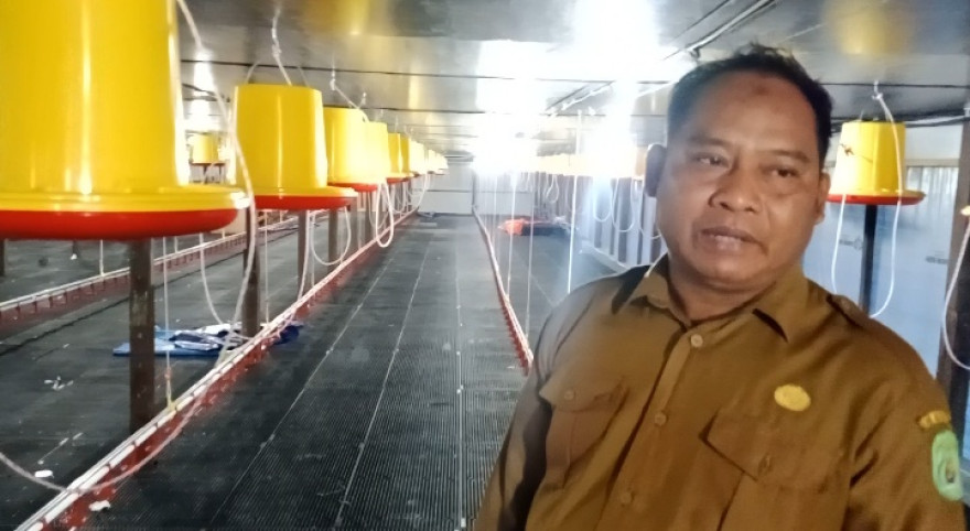BUMDes Redan Prima Siap Kelola Usaha Ayam Pedaging